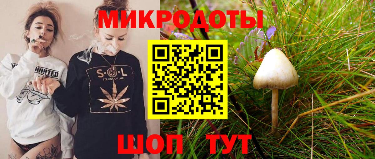 Псилоцибиновые грибы Psilocybe  Вход с VPN  Галлюциногенные грибы прущие грибы  Большой Камень 