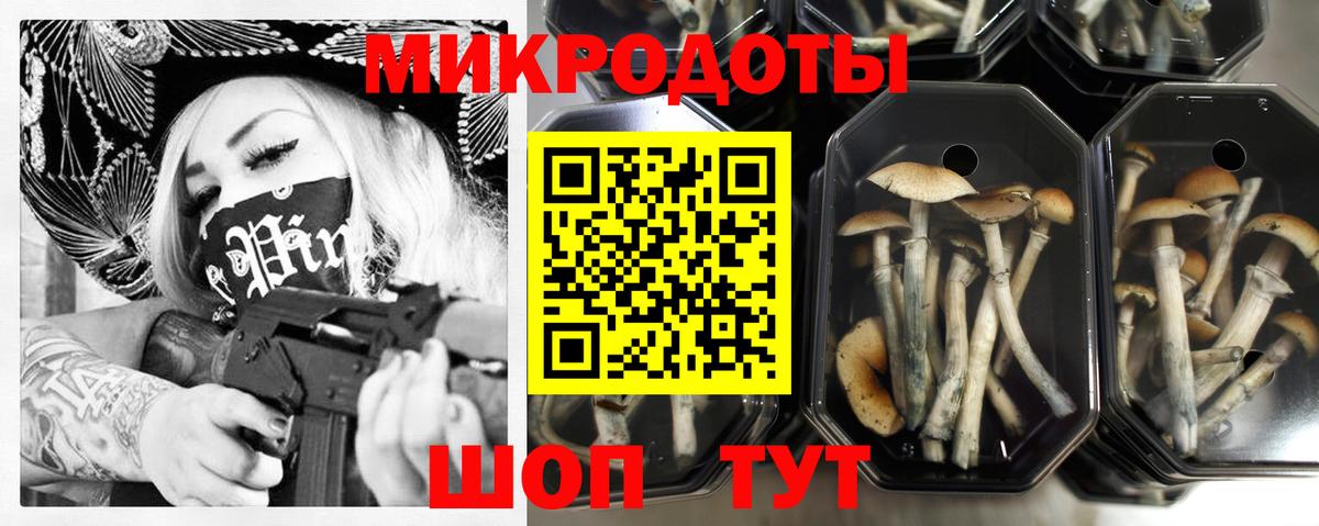 Псилоцибиновые грибы GOLDEN TEACHER Большой Камень