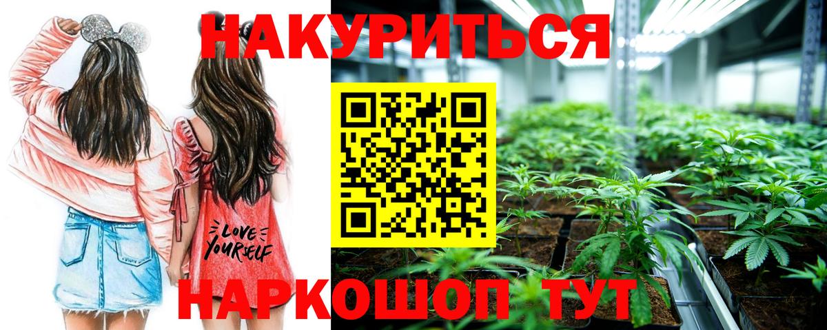 Шишки марихуана марихуана Большой Камень